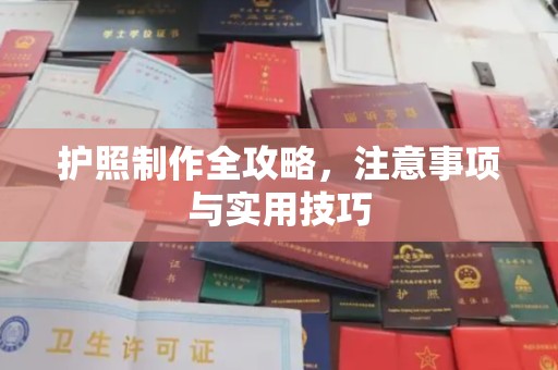 双塔护照制作全攻略，注意事项与实用技巧