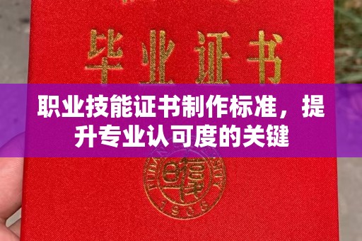 双塔职业技能证书制作标准，提升专业认可度的关键