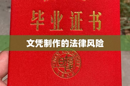双塔文凭制作的法律风险