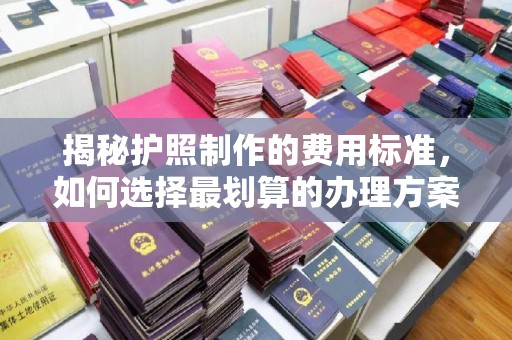 双塔揭秘护照制作的费用标准，如何选择最划算的办理方案？