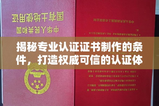 双塔揭秘专业认证证书制作的条件，打造权威可信的认证体系
