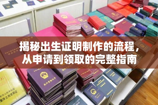 双塔揭秘出生证明制作的流程，从申请到领取的完整指南