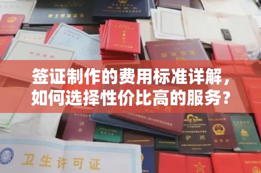 双塔签证制作的费用标准详解，如何选择性价比高的服务？