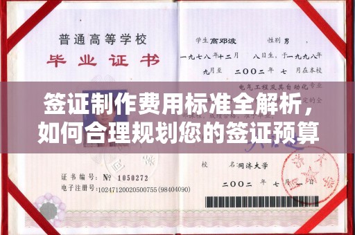双塔签证制作费用标准全解析，如何合理规划您的签证预算？